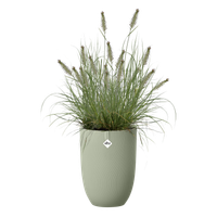 sereh haut 30cm vert scandinave